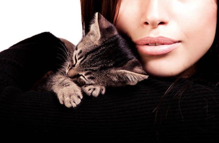 femme chaton câlin