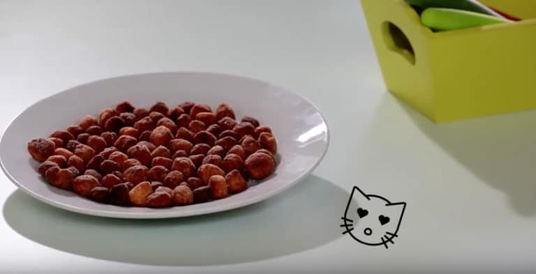 friandises au thon