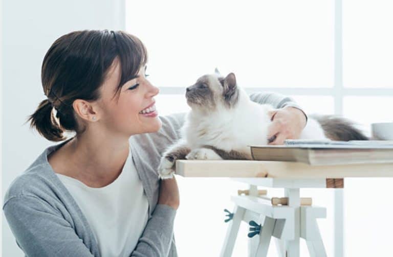 femme chat appartement