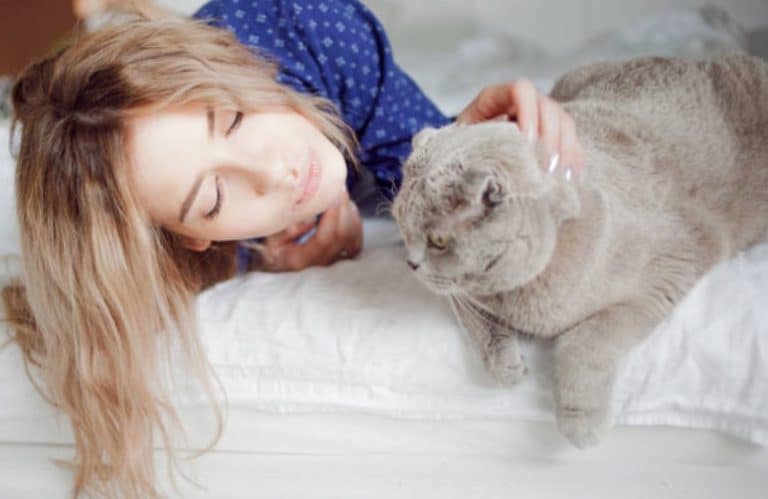 chat calin femme lit