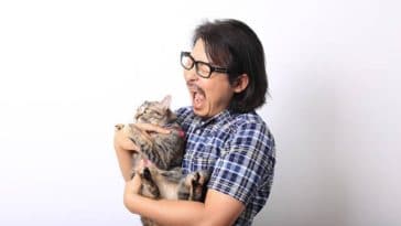 chat mord homme agressif