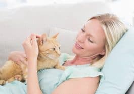 chat câlin femme humain