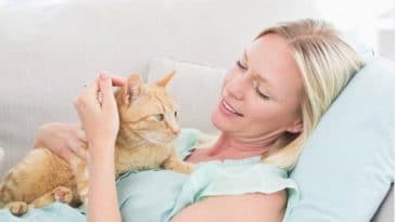 chat câlin femme humain