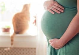 chat femme enceinte