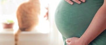 chat femme enceinte