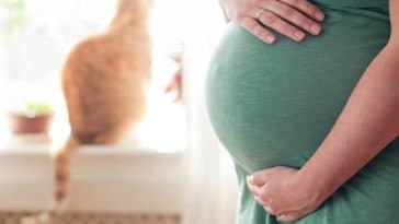 chat femme enceinte