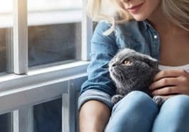 chat calin