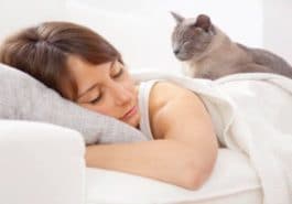 chat dort couché lit femme