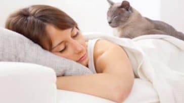 chat dort couché lit femme