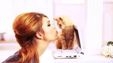 chaton câlin femme ordinateur