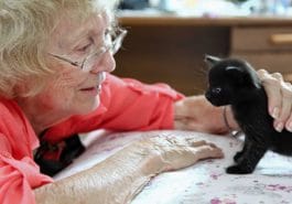 femme personne âgée câlin chaton