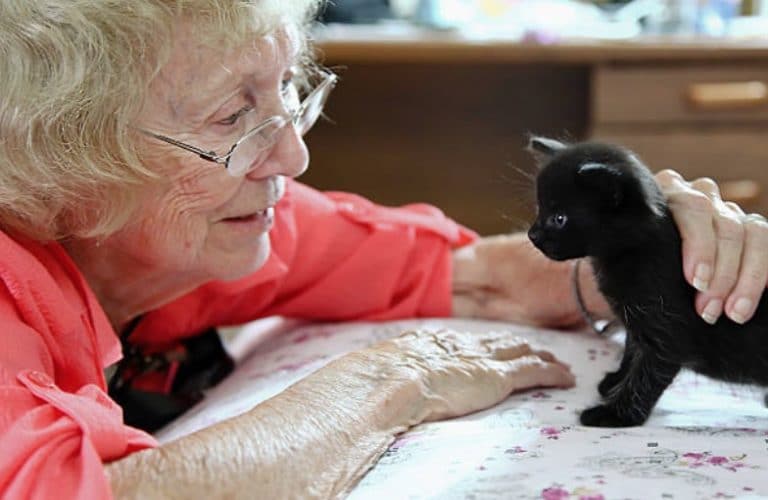 femme personne âgée câlin chaton