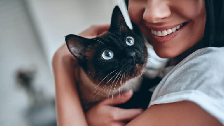 chat