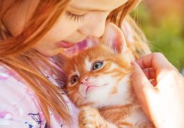 chaton câlin enfant