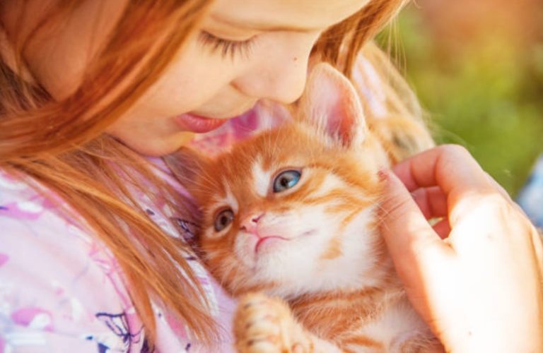 chaton câlin enfant