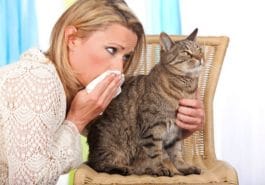 femme allergie chat