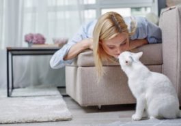 chat femme câlin
