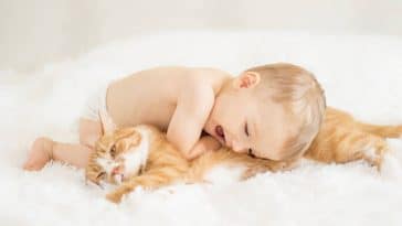 chat bébé câlin enfant