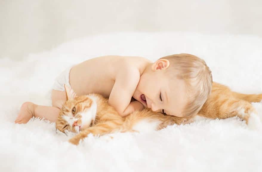 chat bébé câlin enfant