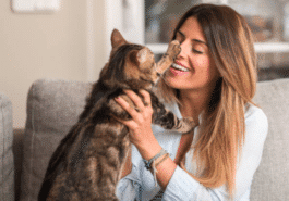 chat câlin
