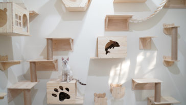 chat étagères murales