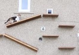 escaliers