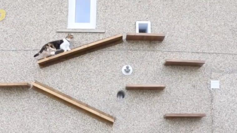 escaliers