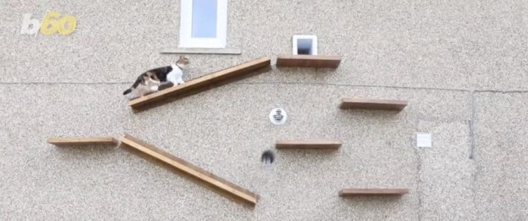 escaliers