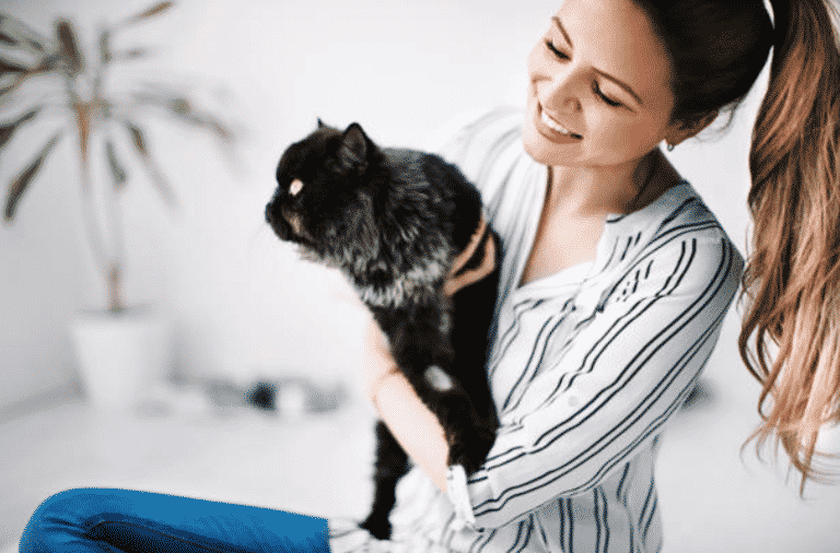 chat câlin
