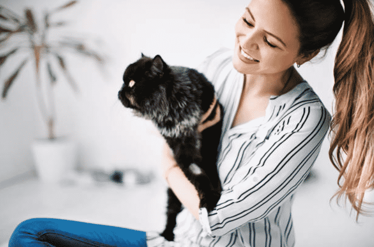 chat câlin