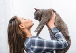 chat câlin