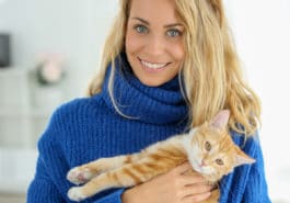 chat câlin