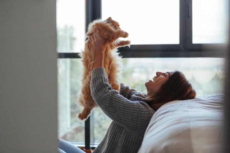 chat câlin