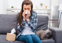chat allergie