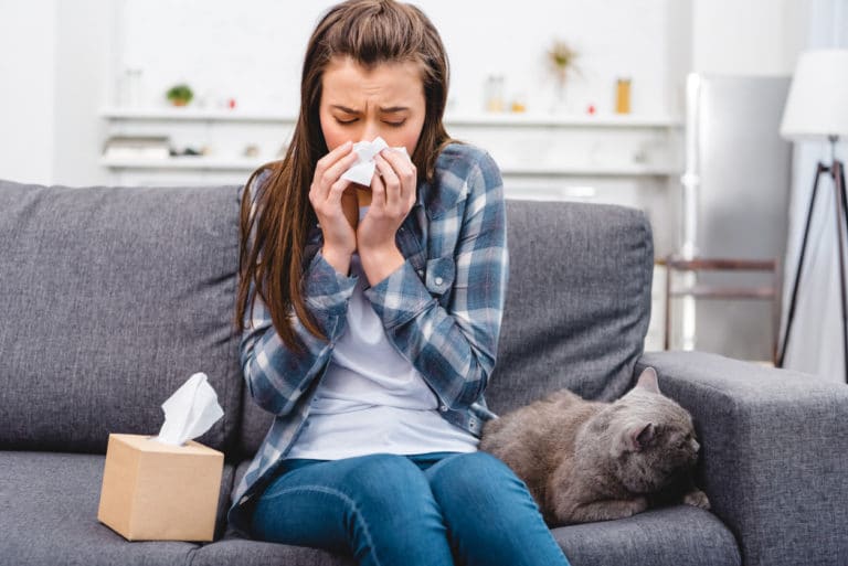 chat allergie