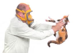 allergie chat