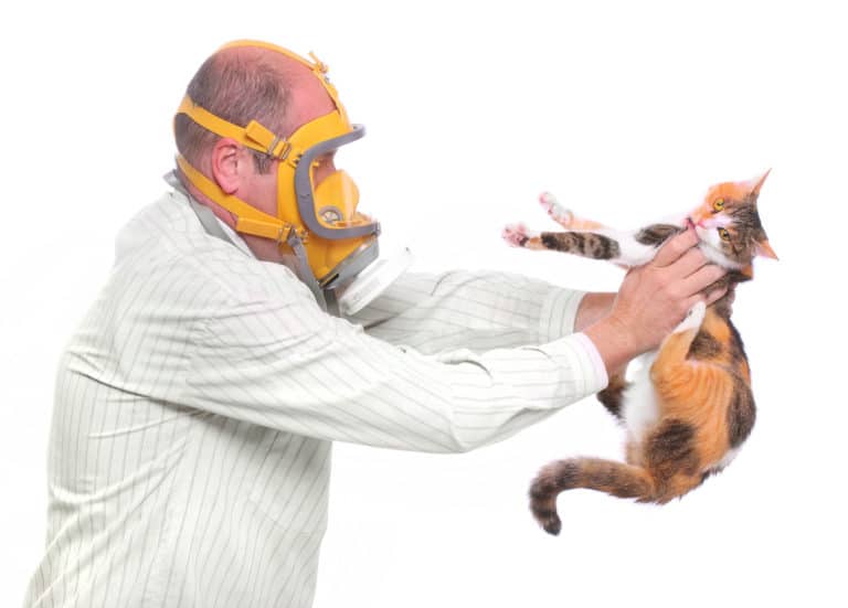 allergie chat