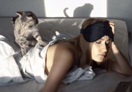chat marche sur femme