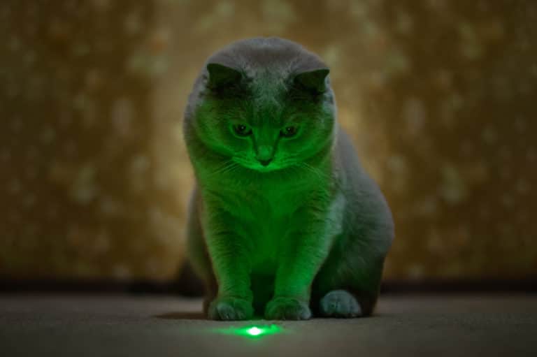 chat laser