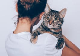 chat