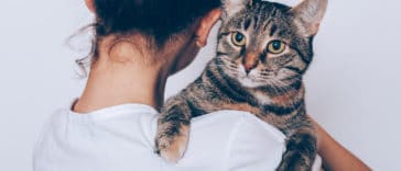 chat