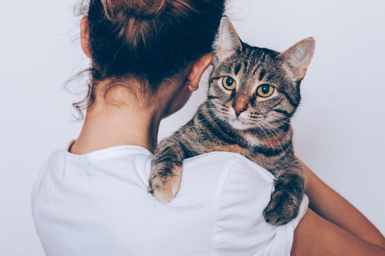 chat