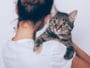 chat
