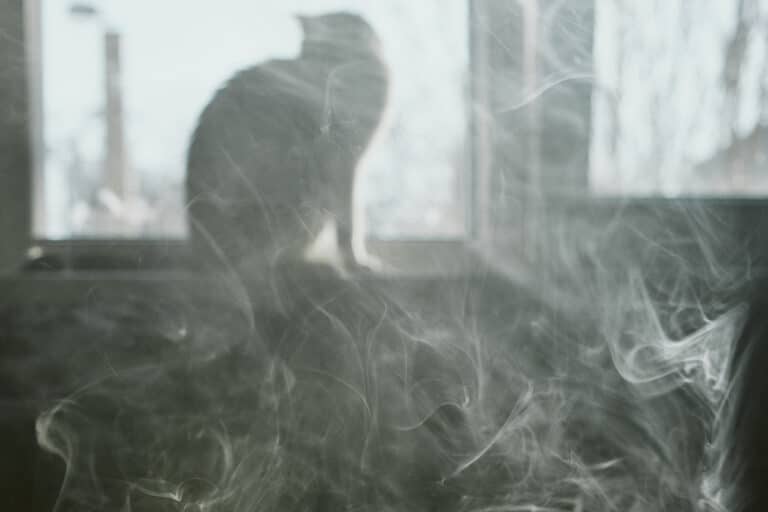 chat cigarette