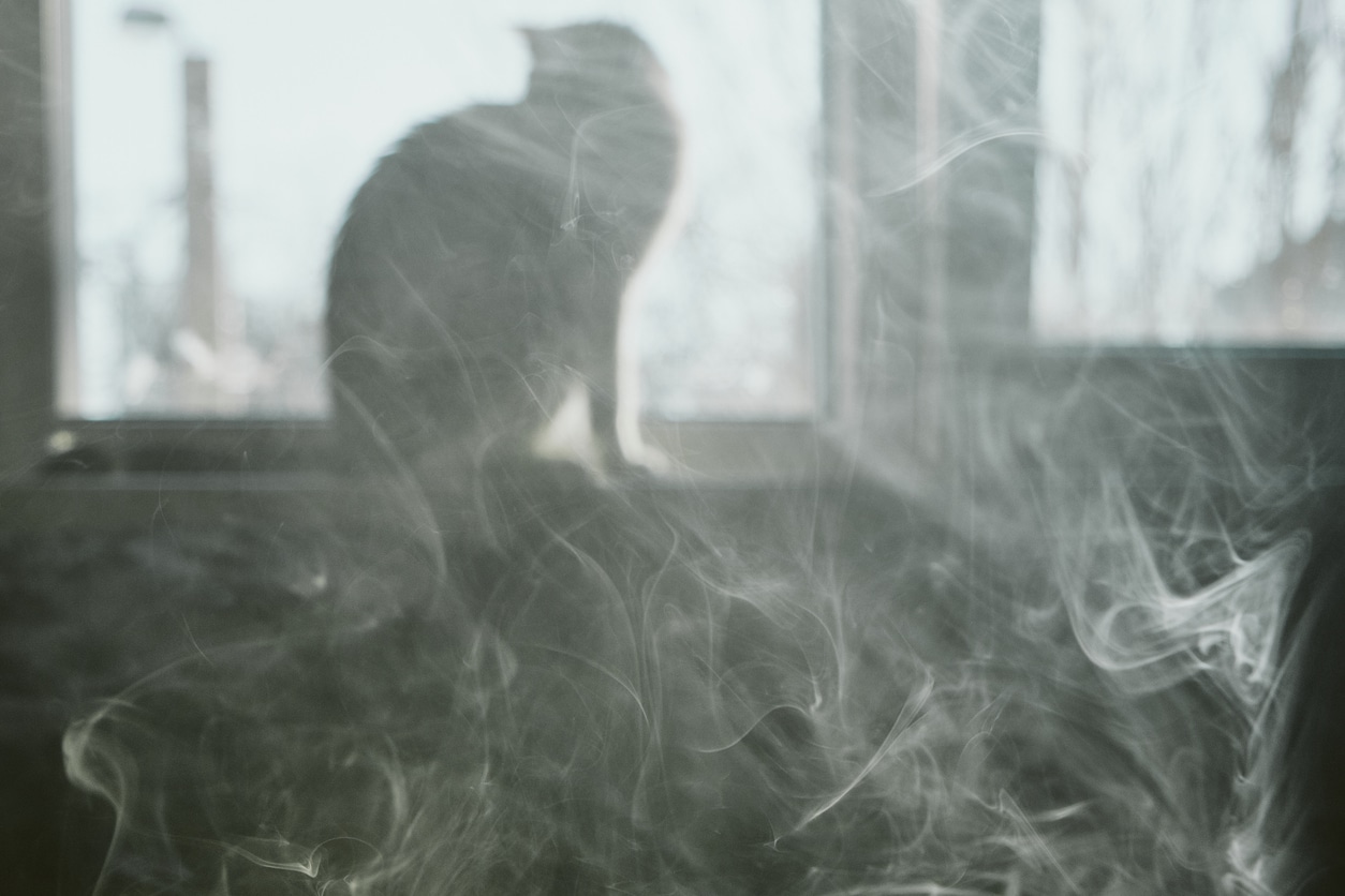 chat cigarette