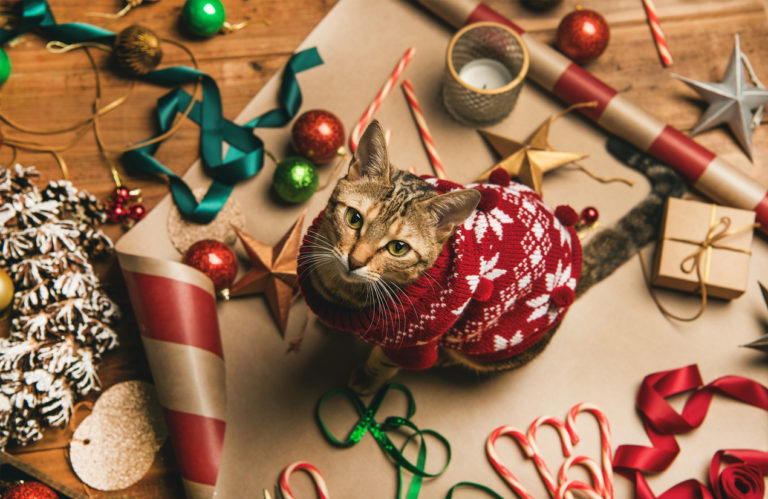cadeaux chat Noël