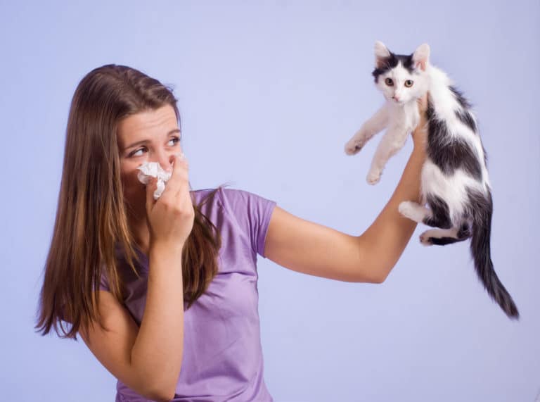 allergie aux chats