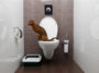 chat toilettes