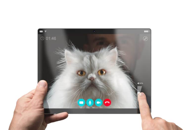 chat vidéo