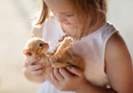 premier chat